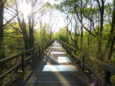 Radweg Schlepzig-Lübben 216_32