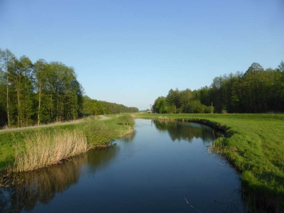 Radweg Straupitz-Lübben 316_04