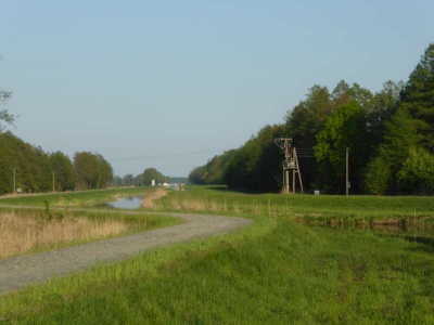 Radweg Straupitz-Lübben 316_06
