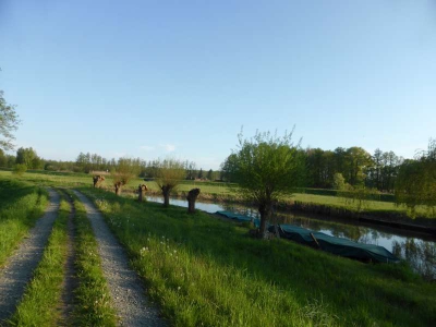 Radweg Straupitz-Lübben 316_08