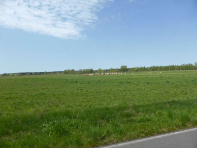 Radweg Unterspreewald-Schlepzig 216