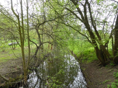 Radweg Groß Wasserburg-Unterspreewald 216_03