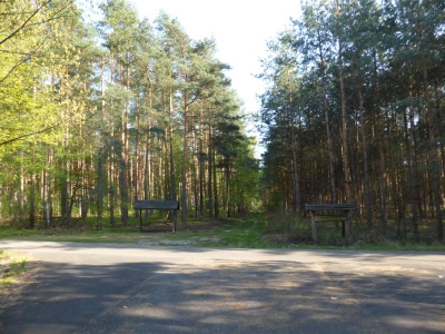 Radweg Schlepzig-Lübben 216_05