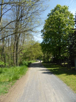 Radweg Burg-Peitzer Teichlandschaft 316