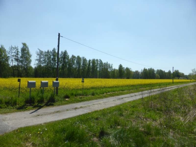 Radweg Lübbenau-Burg 316_07