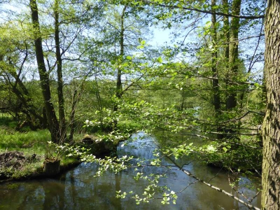 Leiper Weggraben 316