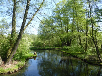 Leiper Weggraben 316_02