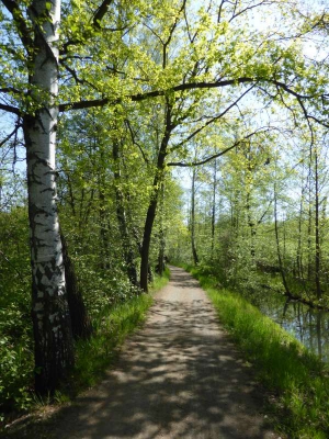 Leiper Weggraben 316_05