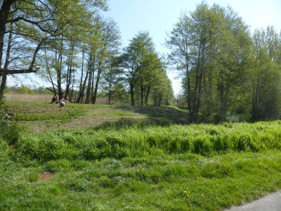 Radweg Lübben-Lübbenau 316_11