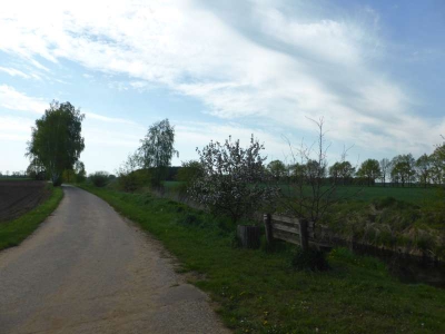 Radweg Peitz-Straupitz 316_03