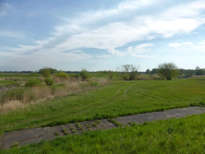 Radweg Peitz-Straupitz 316_10