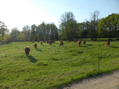 Radweg Peitz-Straupitz 316_17