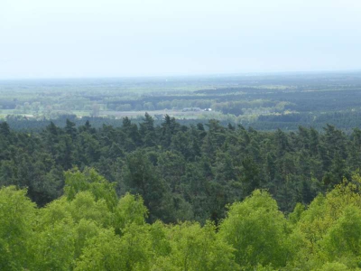 Blick von der Aussichtsplattform Krausnitzer Berge 216_04