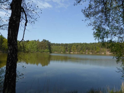 Mittelsee bei Groß Wasserburg 216_02