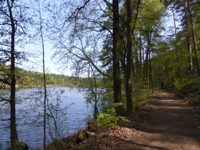 Schwanensee bei Groß Wasserburg 216