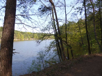 Schwanensee bei Groß Wasserburg 216_02