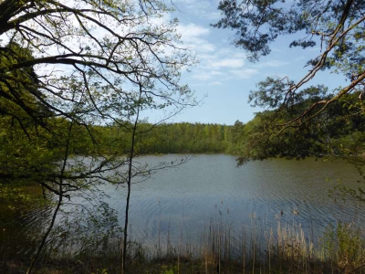 Schwanensee bei Groß Wasserburg 216_03