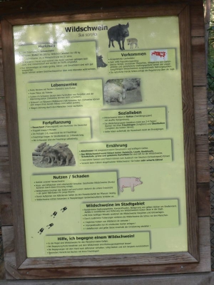 Revierförsterei Tegelsee 4017_04