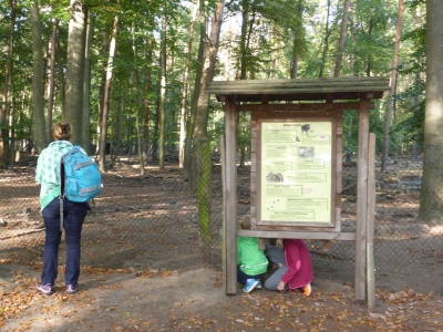 Revierförsterei Tegelsee 4017_05