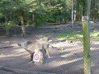 Revierförsterei Tegelsee 4017_10