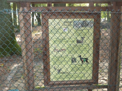 Revierförsterei Tegelsee 4017_12