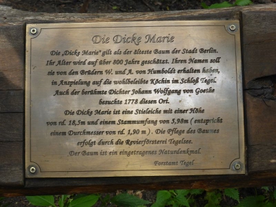 Dicke Marie Tegel Berlin 2915_03