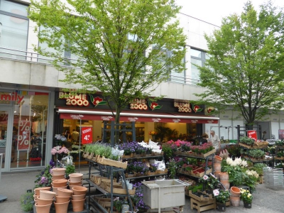 Tegel Center Berlin 2915_10