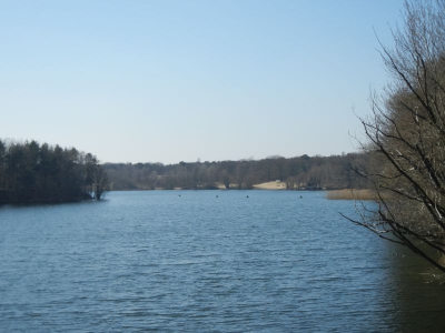 Tegler Flughafensee Berlin_02