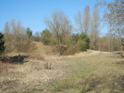 Tegler Flughafensee Berlin_17