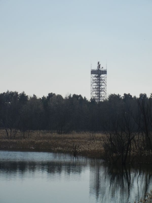 Tegler Flughafensee Berlin_19