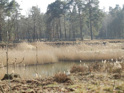 Tegler Flughafensee Berlin_23