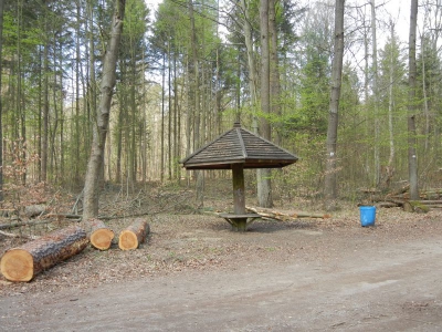 Tegler Forst Berlin_04