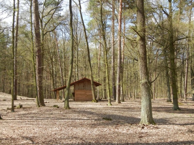 Tegler Forst Berlin_13