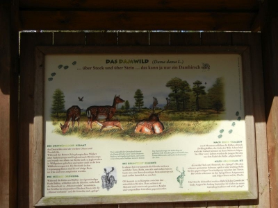 Tegler Forst Berlin_14