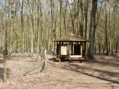 Tegler Forst Berlin_15