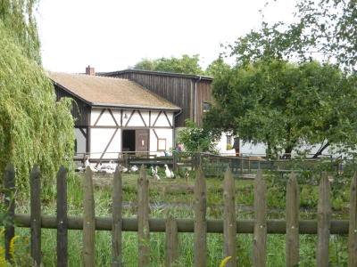 Freizeit und Erholungspark Lübars 3517_11