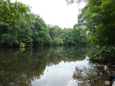 Steinbergpark Berlin Waidmannslust 2915_08