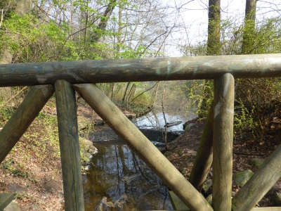 Steinbergsee Berlin Reinickendorf 1314