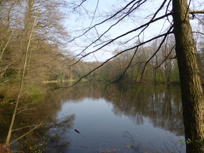 Steinbergsee Berlin Reinickendorf 1314_05