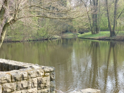 Steinbergsee Berlin Reinickendorf 1314_07