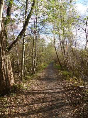 Tegler Fließ3 Berlin10.13