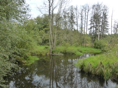 Tegler Fließ10.13_03