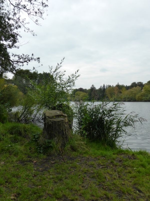 Tegler Fließ10.13_15