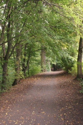 Tegler Fließ10.13_22