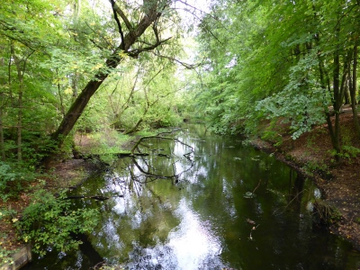 Tegler Fließ10.13_30