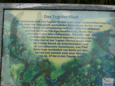Tegler Fließ10.13_40