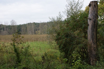 Tegler Fließ10.13_48