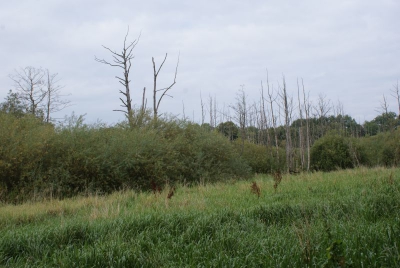 Tegler Fließ10.13_51