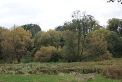 Tegler Fließ10.13_66