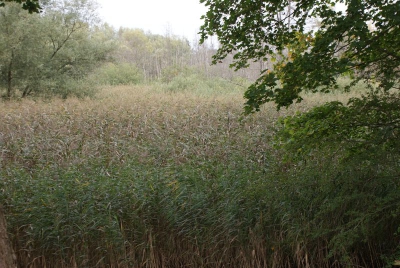 Tegler Fließ10.13_43